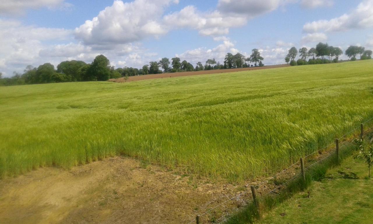 La Petite Maison Dans La Prairie Notre-Dame-du-Touchet Zewnętrze zdjęcie